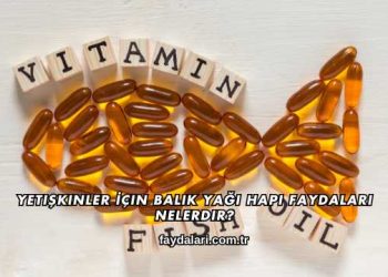 Yetişkinler İçin Balık Yağı Hapı Faydaları Nelerdir?