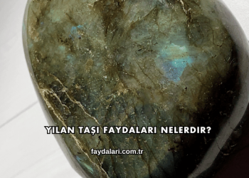 Yılan Taşı Faydaları Nelerdir?