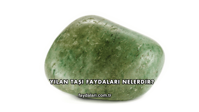 Yılan Taşı Faydaları Nelerdir?
