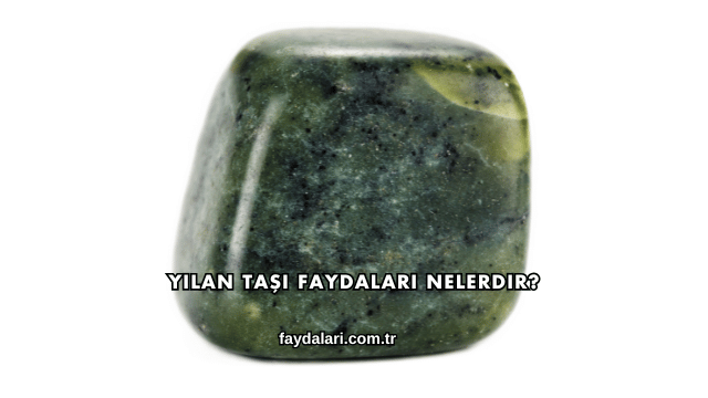 Yılan Taşı Faydaları Nelerdir?
