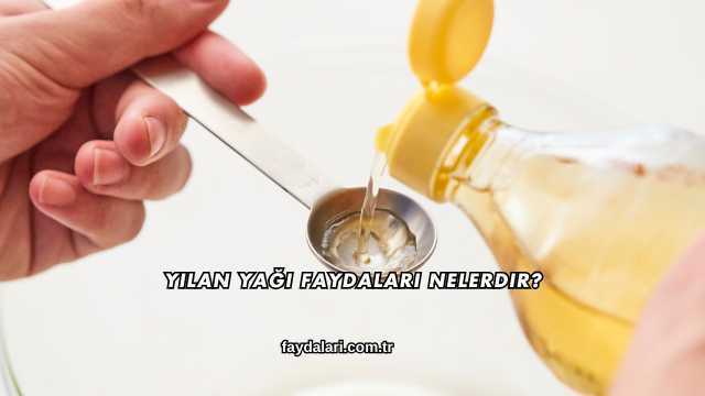 Yılan Yağı Faydaları Nelerdir?