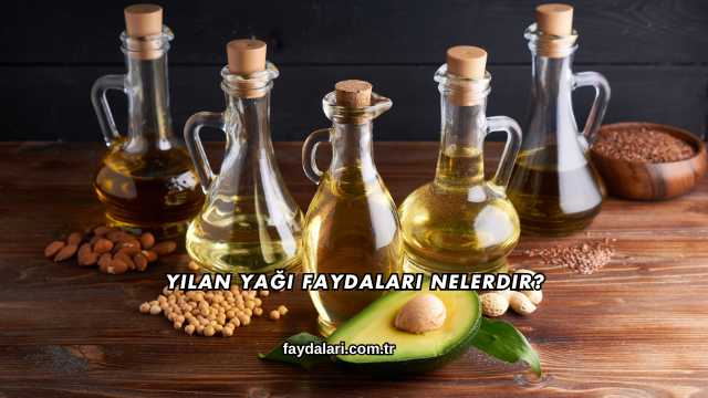 Yılan Yağı Faydaları Nelerdir?