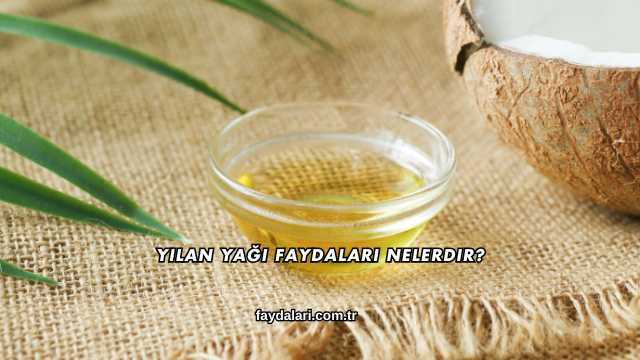 Yılan Yağı Faydaları Nelerdir?