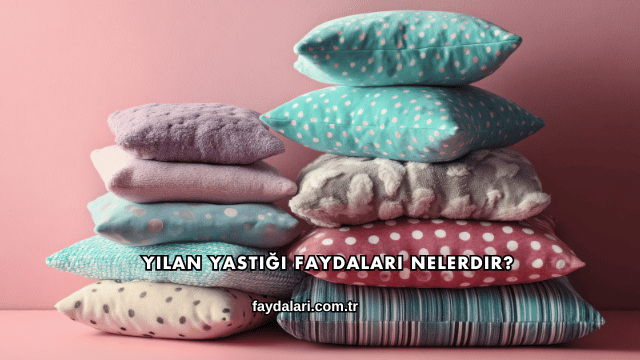 Yılan Yastığı Faydaları Nelerdir?