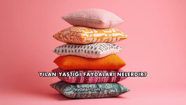 Yılan Yastığı Faydaları Nelerdir?
