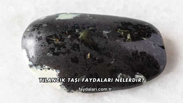 Yılancık Taşı Faydaları Nelerdir?
