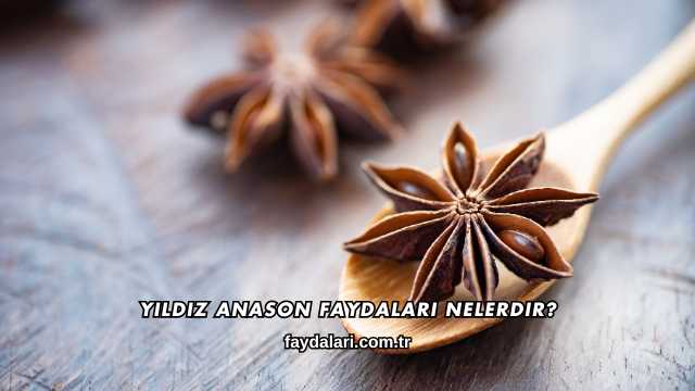 Yıldız Anason Faydaları Nelerdir?