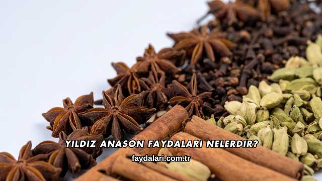 Yıldız Anason Faydaları Nelerdir?