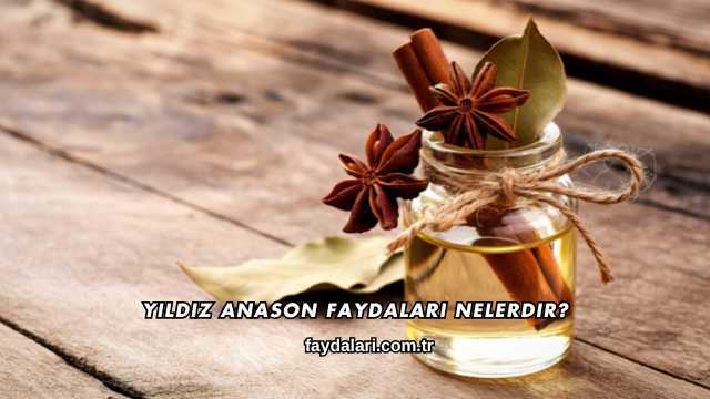 Yıldız Anason Faydaları Nelerdir?
