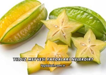 Yıldız Meyvesi Faydaları Nelerdir?