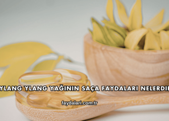 Ylang Ylang Yağının Saça Faydaları Nelerdir?