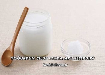 Yoğurdun Cilde Faydaları Nelerdir?