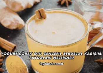Yoğurt Çörek Otu Zencefil Zerdeçal Karışımı Faydaları Nelerdir?