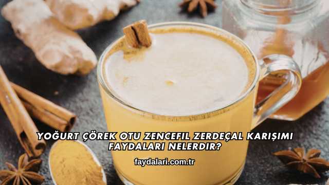 Yoğurt Çörek Otu Zencefil Zerdeçal Karışımı Faydaları Nelerdir?