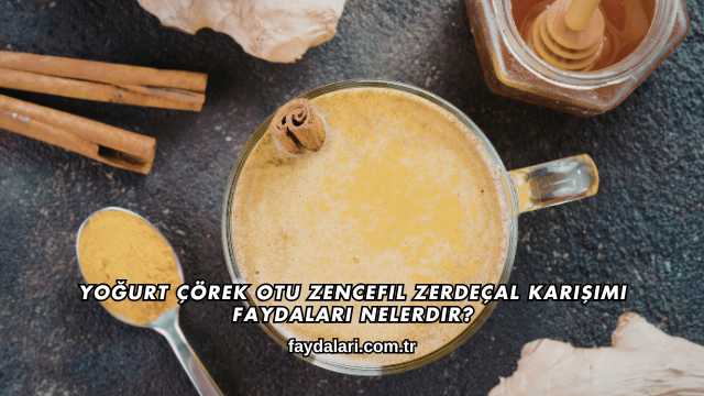 Yoğurt Çörek Otu Zencefil Zerdeçal Karışımı Faydaları Nelerdir?