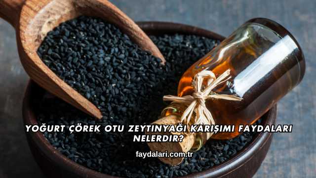Yoğurt Çörek Otu Zeytinyağı Karışımı Faydaları Nelerdir?