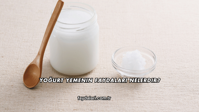 Yoğurt Yemenin Faydaları Nelerdir?