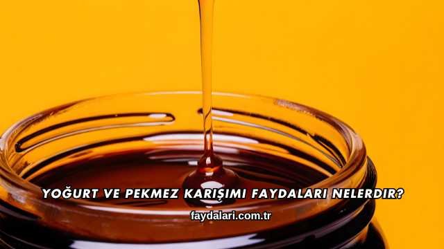 Yoğurt ve Pekmez Karışımı Faydaları Nelerdir?