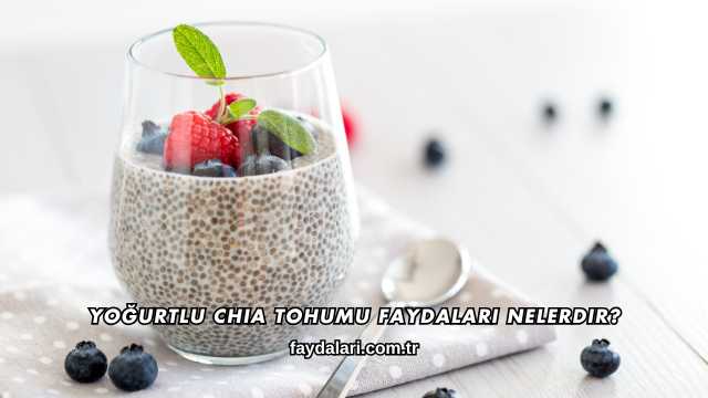 Yoğurtlu Chia Tohumu Faydaları Nelerdir?