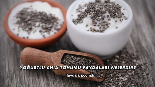Yoğurtlu Chia Tohumu Faydaları Nelerdir?