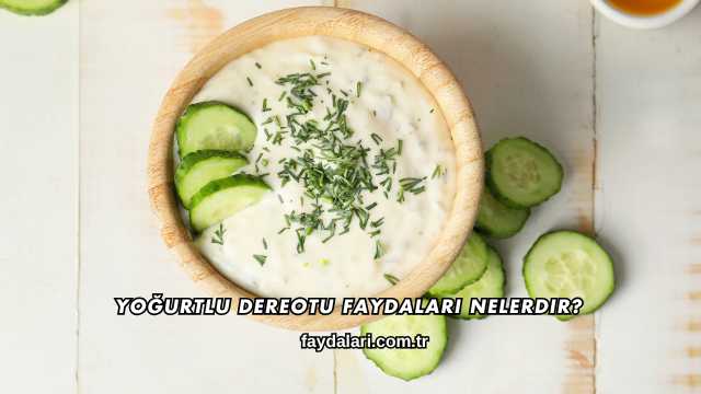 Yoğurtlu Dereotu Faydaları Nelerdir?
