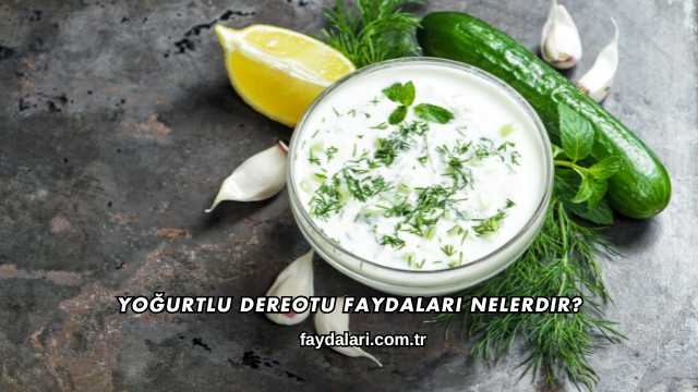 Yoğurtlu Dereotu Faydaları Nelerdir?