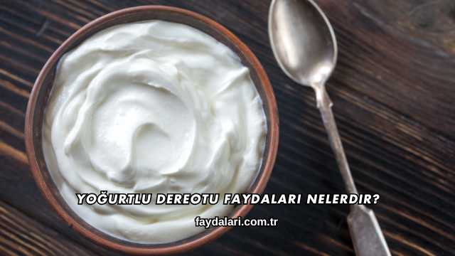 Yoğurtlu Dereotu Faydaları Nelerdir?