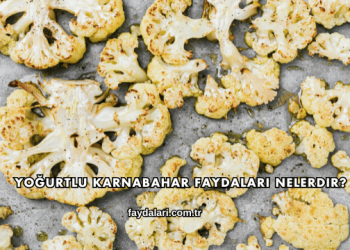 Yoğurtlu Karnabahar Faydaları Nelerdir?