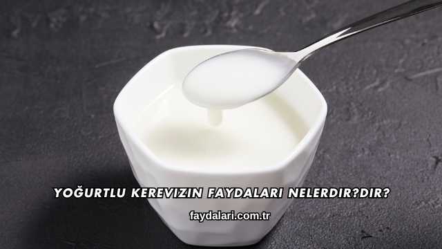 Yoğurtlu Kerevizin Faydaları Nelerdir?