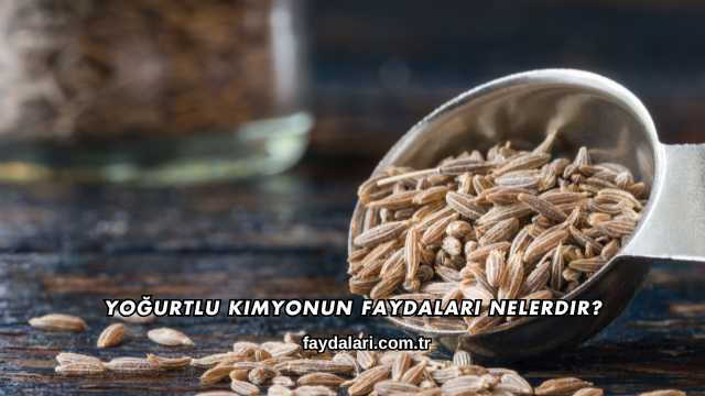 Yoğurtlu Kimyonun Faydaları Nelerdir?