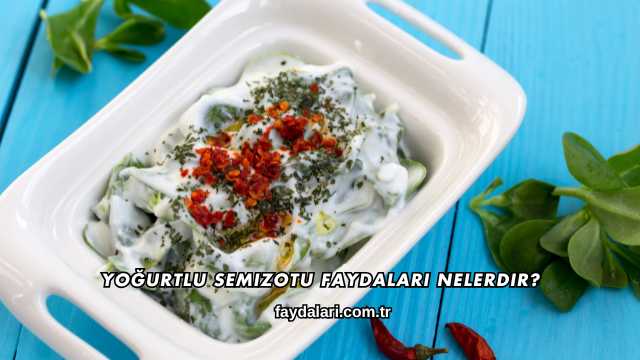 Yoğurtlu Semizotu Faydaları Nelerdir?