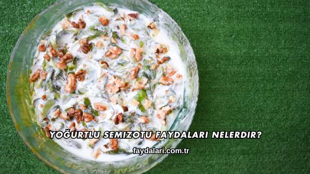 Yoğurtlu Semizotu Faydaları Nelerdir?
