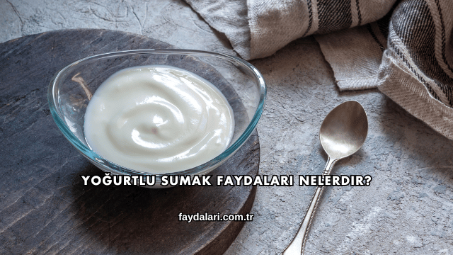 Yoğurtlu Sumak Faydaları Nelerdir?