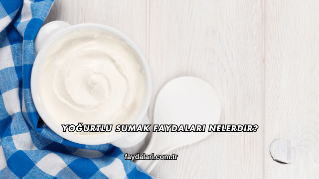 Yoğurtlu Sumak Faydaları Nelerdir?