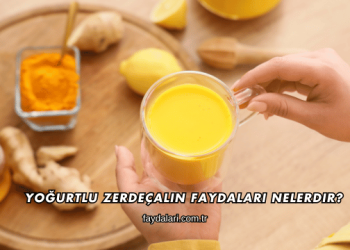 Yoğurtlu Zerdeçalın Faydaları Nelerdir?
