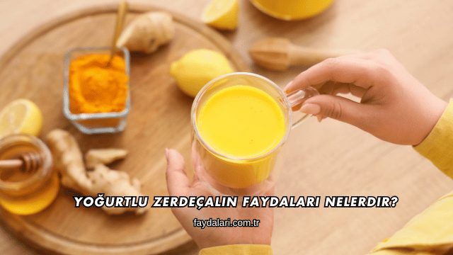 Yoğurtlu Zerdeçalın Faydaları Nelerdir?