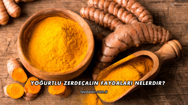 Yoğurtlu Zerdeçalın Faydaları Nelerdir?