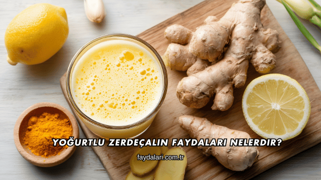 Yoğurtlu Zerdeçalın Faydaları Nelerdir?