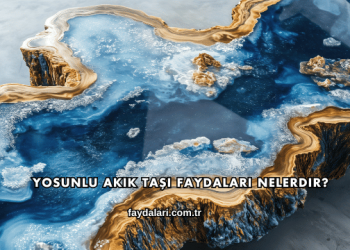 Yosunlu Akik Taşı Faydaları Nelerdir?