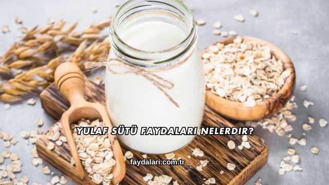 Yulaf Sütü Faydaları Nelerdir?