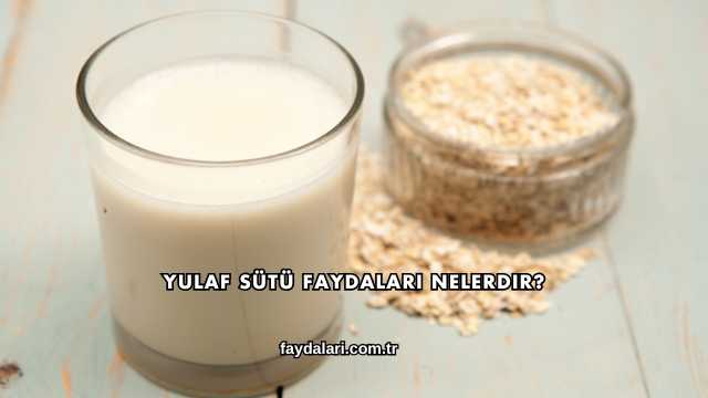 Yulaf Sütü Faydaları Nelerdir?