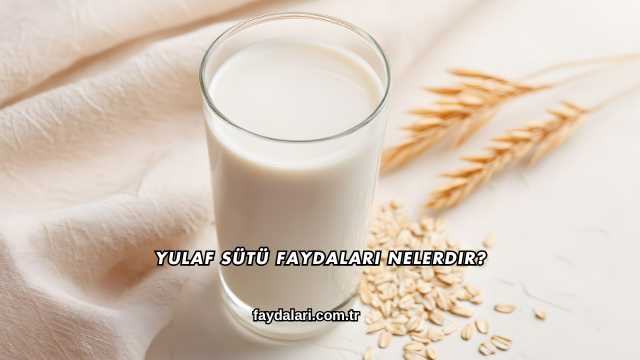 Yulaf Sütü Faydaları Nelerdir?