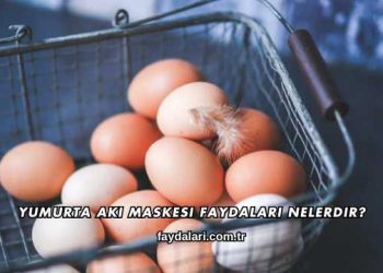 Yumurta Akı Maskesi Faydaları Nelerdir?