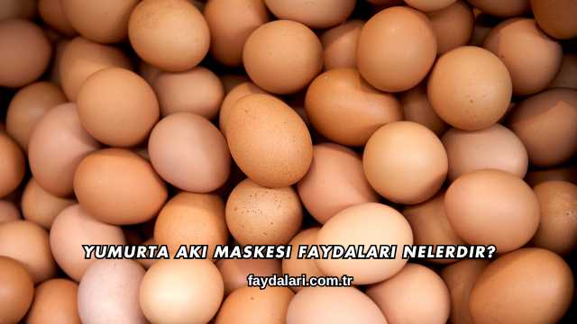 Yumurta Akı Maskesi Faydaları Nelerdir?