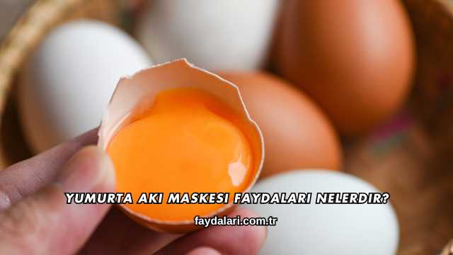 Yumurta Akı Maskesi Faydaları Nelerdir?