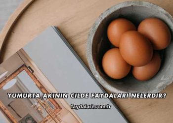 Yumurta Akının Cilde Faydaları Nelerdir?