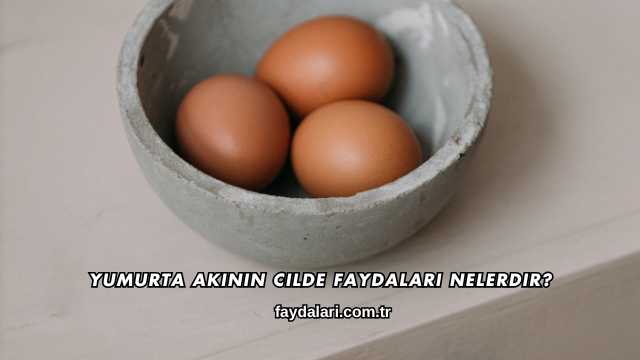Yumurta Akının Cilde Faydaları Nelerdir?