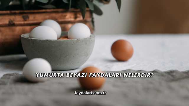 Yumurta Beyazı Faydaları Nelerdir?