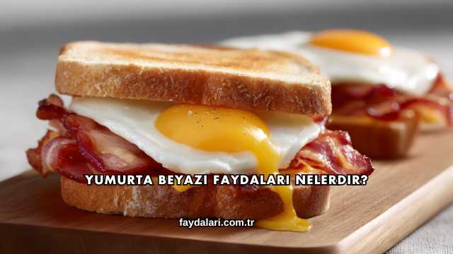 Yumurta Beyazı Faydaları Nelerdir?