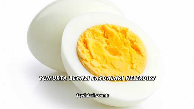 Yumurta Beyazı Faydaları Nelerdir?